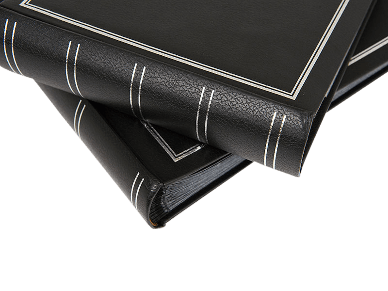 Bilde av Noir Super 200 Memo Hz